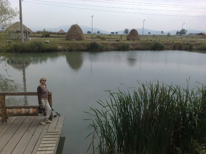 cità liniste si pace