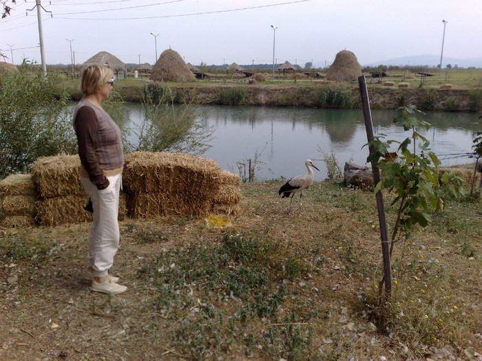 o pozà si cu barza adevàratà