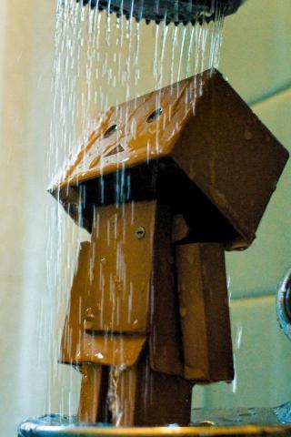 304937_243527422357015_226200770756347_721522_3619512_n_large