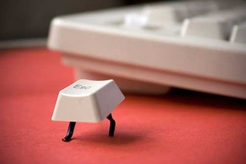 July-16-2011-02-11-50-escape_large