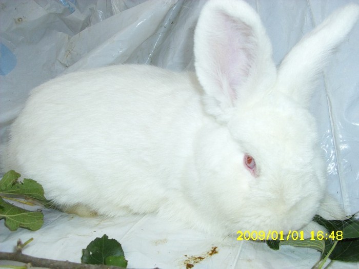 Picture 329
