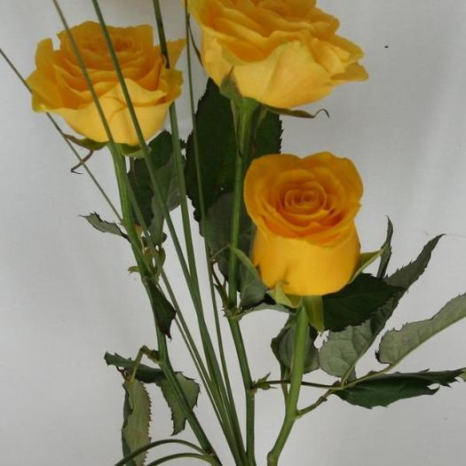 Buchet de 3 trandafiri galbeni