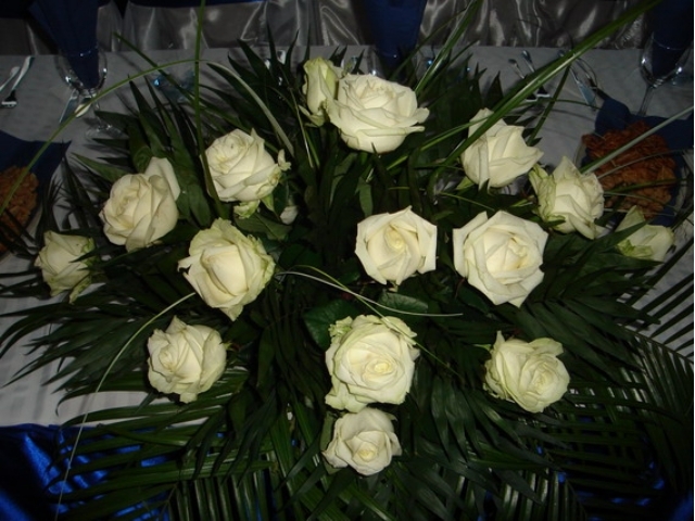 xxlflorin14-1281725044flori