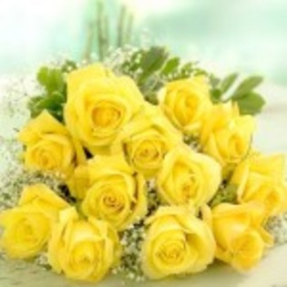 469_45acd2c0c4268 - poze cu cele mai frumoase flori dedicata prietenelor mele de pe SunPhoto