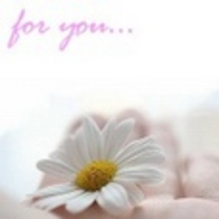 y love you