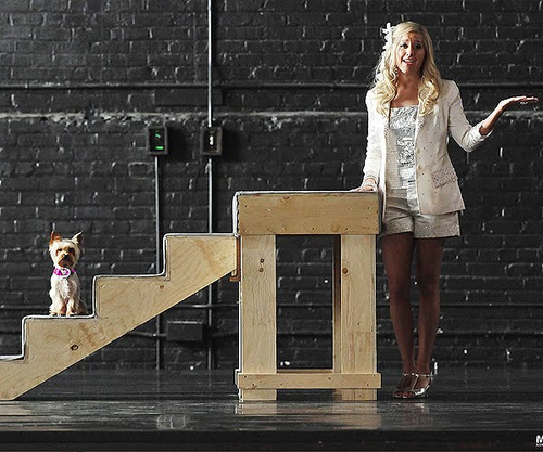 Am fost in investigare  la Steven acasa si am descoperit un cadavru .