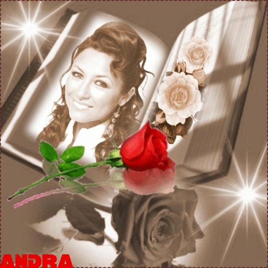 303539_260277887326974_100000342956512_914877_6629541_n