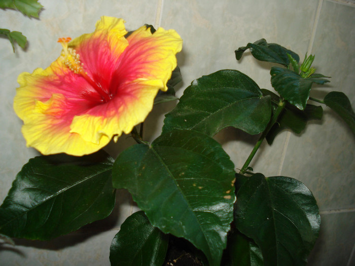 DSC00400