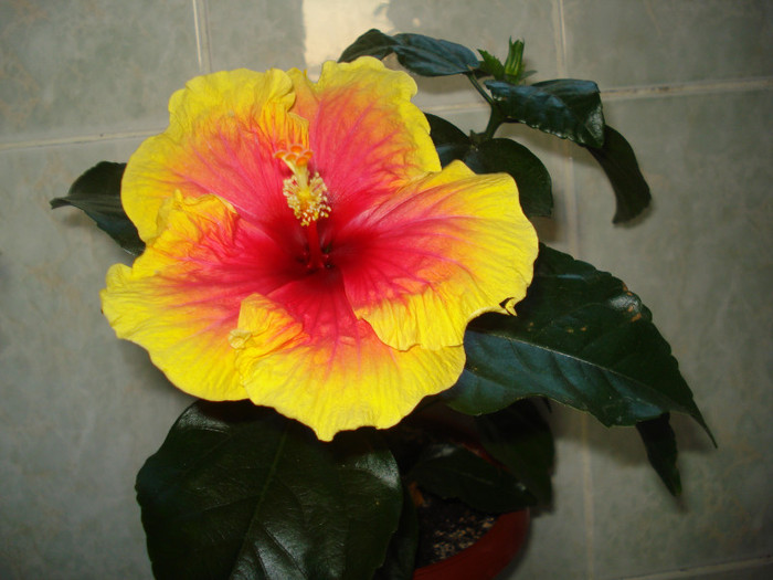 DSC00403