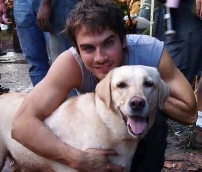 TheCastIanSomerhalderProyectosLostBastidores
