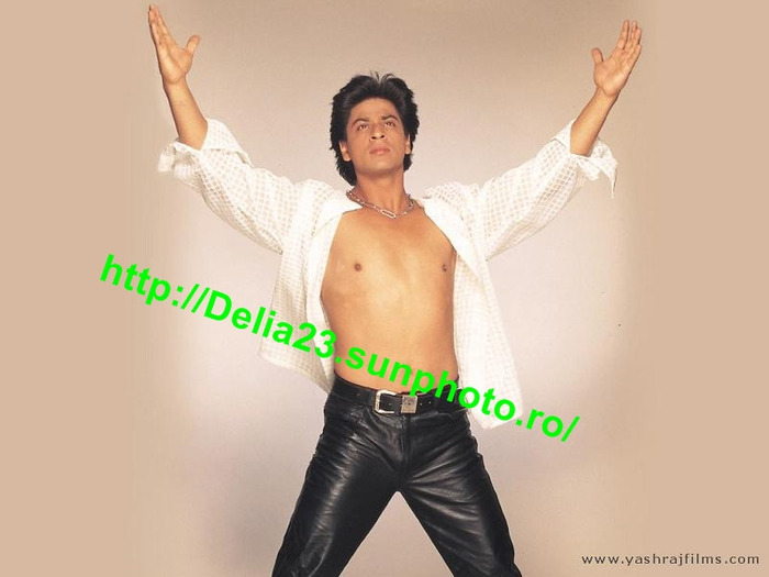 shahrukh_khan_dil_to_pagal_hai_01