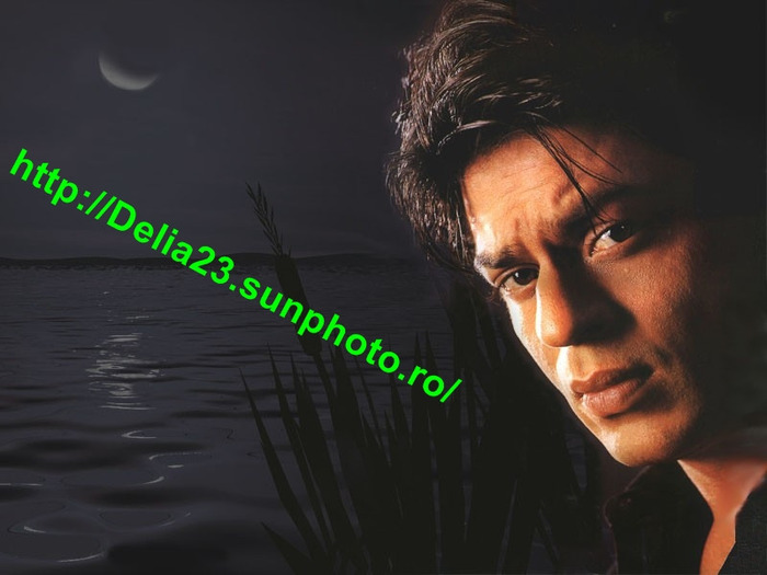 shahrukh_khan_wallpapers_023 - Shahrukh Khan