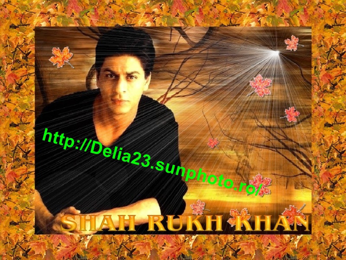 shahrukh_khan_wallpapers_047