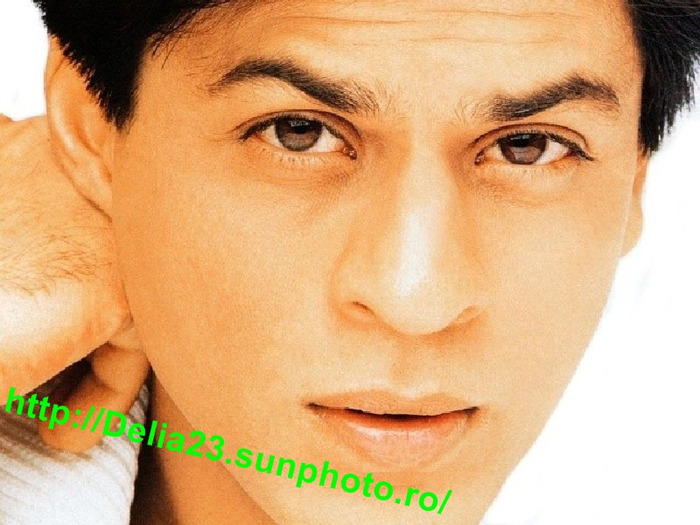 shahrukh_khan_wallpapers_065
