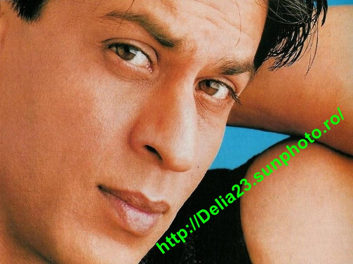 shahrukh_khan_wallpapers_068