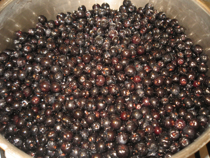 Dulceata de aronia - Diverse borcaneli