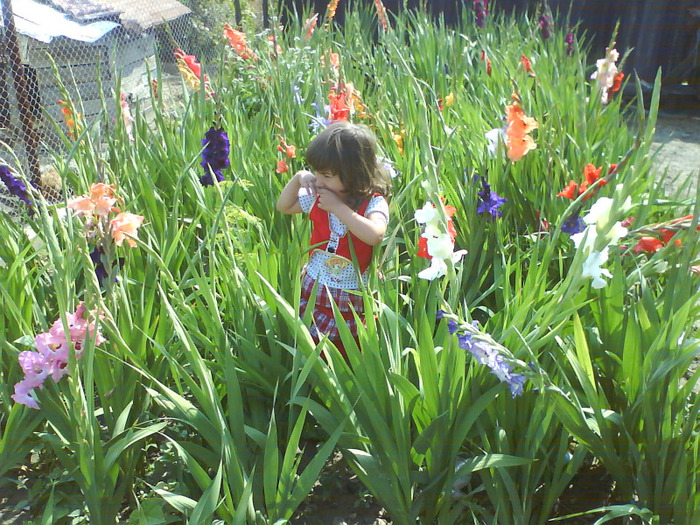 DSC06859