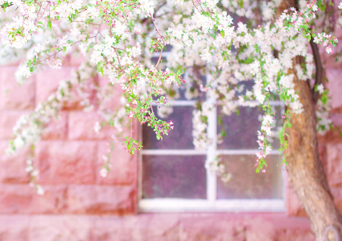 [ Mai tarziu sosesc politistii si-l incatuseaza pe Steven ... ]