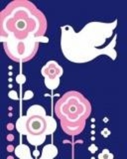 image - Poze colorate