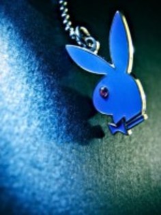 image - Poze colorate