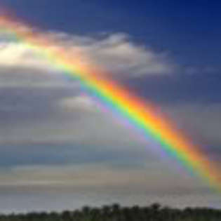 image - Poze colorate