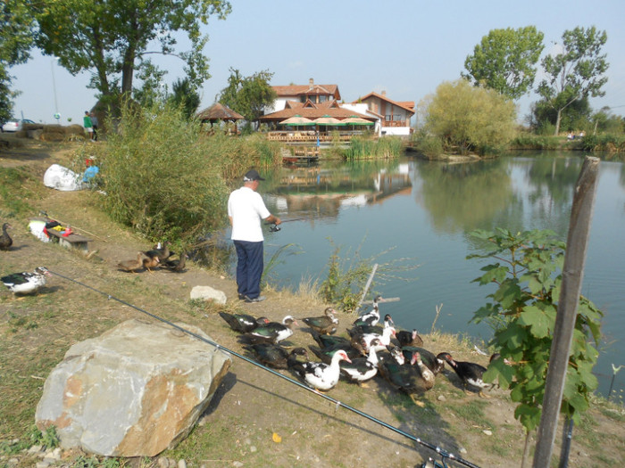 nonnu inconjurat de rate