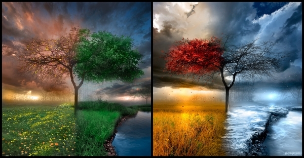 Four-Seasons-29890