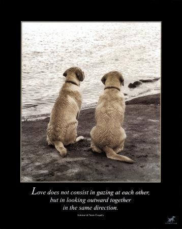 love-print-c10098742