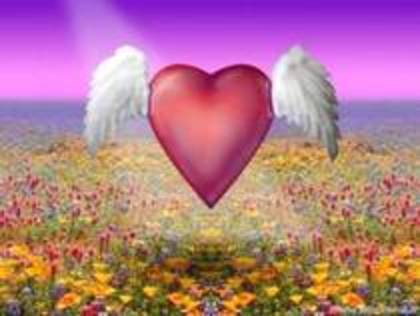 y love you