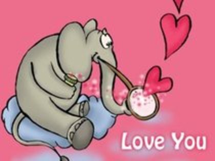 y love you