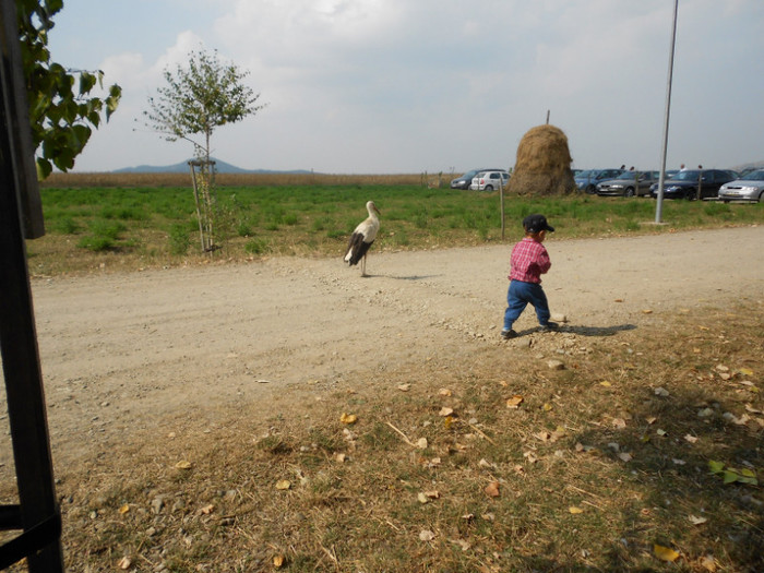 mà iau la intrecere cu barza - Andrei la nonni 2012