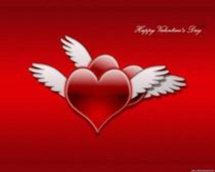 y love you