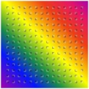 image - Poze colorate