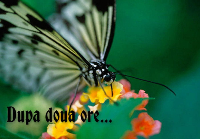 Dupa doua ore...