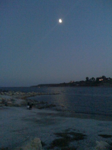 IMG_0208 - la mare 2011
