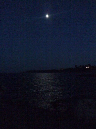 IMG_0217 - la mare 2011