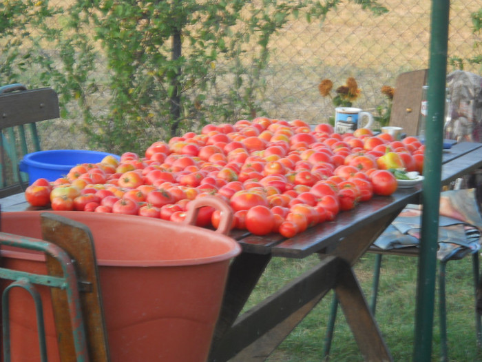 preparam a treia tura de bulion