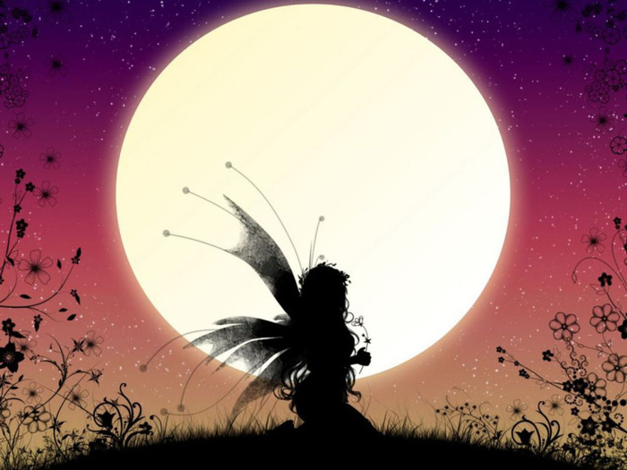black fairy in moon light