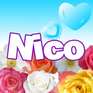 Avatar cu nume Nico 4 - Poze Cu Nume