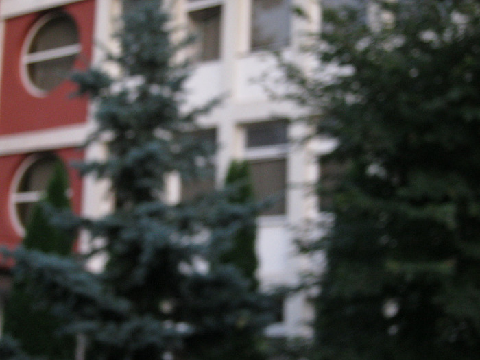 IMG_0527 - LOCALITATEA  TINCA  JUD  BIHOR