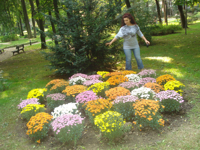 DSC05347 - EU