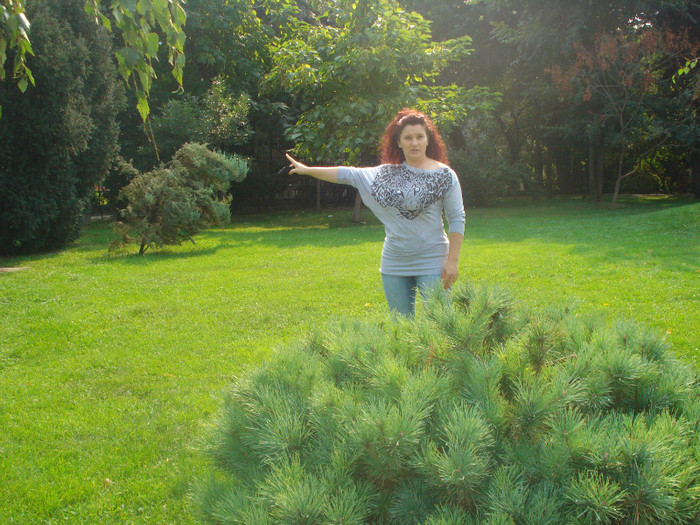 DSC05362 - EU