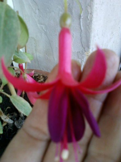 my pictures- 26 sept 2011 057