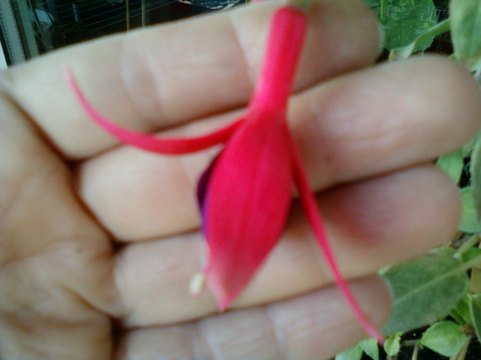 my pictures- 26 sept 2011 033