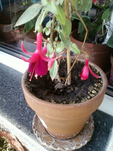 my pictures- 26 sept 2011 034
