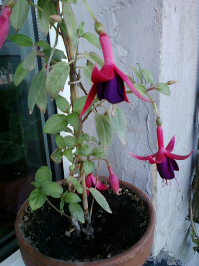 my pictures- 26 sept 2011 055