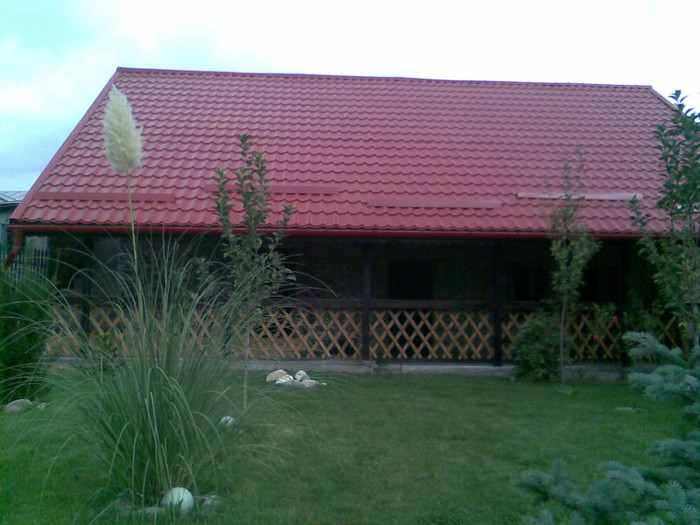 punem gardutul pe prispa
