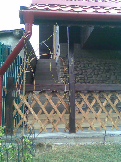 prispa, in stanga