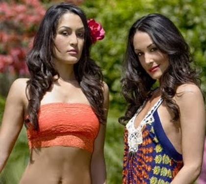 Bella Twins (113)-796986 - bella twins