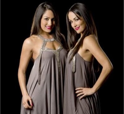 Bella-Twins (1) - bella twins